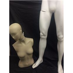 Mannequin Male & Female