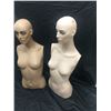 Image 2 : Mannequin Display Male & Female