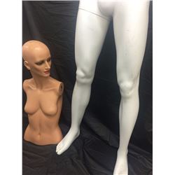 Mannequin Display Male & Female