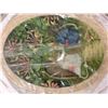Image 3 : 3 new Garden PLates with COA