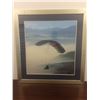 Image 1 : Framed Art Sky Diving