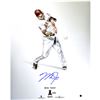 Image 1 : Mike Trout Signed Steiner Platinum 16X20 Photo ( MLB Auth)