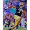 Image 1 : Michael Floyd Signed Notre Dame Fighting Irish 8X10 Photo- Steiner Hologram