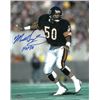 Image 1 : Mike Singletary Signed Chicago Bears 8X10 Photo HOF 98