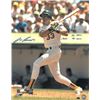 Jose Canseco Signed Oakland A's 16X20 Photo 1988 42 HR's & 40 SB's (White Jersey)