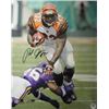 Image 1 : Rudi Johnson Signed Cincinnati Bengals 16X20 Photo Minor Ding
