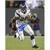 Adrian Peterson Signed Minnesota Vikings 8X10 Photo Minor Haze (White Jersey)