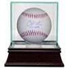 Chuck Knoblauch Signed Official Major League Baseball 91 AL ROY W/ Glass Case (Minnesota Twins)