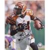 Image 1 : Deltha O'neal Signed Cincinnati Bengals 16X20 Photo- Tri-Star Hologram