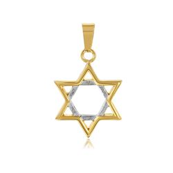 Stainless Steel Gold Plated Star Of David Pendant - SSP00506