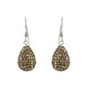 Image 1 : 9X12mm Champaign Crystal Teardrop Earrings