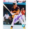 Image 1 : Steve Garvey Signed San Diego Padres 8X10 Photo (Batting)