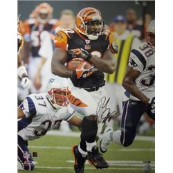 Rudi Johnson Signed Cincinnati Bengals 16X20 Photo