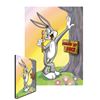 Image 1 : Warner Bros. Brush Up Doc Canvas