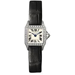 Cartier  Santos Demoiselle  Women Watch