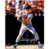 Dale Murphy Signed Atlanta Braves Batting 8X10 Photo