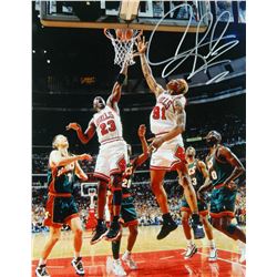 Dennis Rodman Signed Chicago Bulls Action With Michael Jordan 11X14 Photo