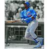 Image 1 : Jorge Soler Signed Chicago Cubs Action Spotlight 16X20 Photo