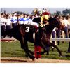 Image 1 : Jean Crugeut Signed 1977 Triple Crown Winner Seattle Slew Side View 8X10 Photo