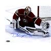 Image 1 : Darcy Kuemper Signed Minnesota Wild 8X10 Photo