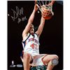 Image 1 : David Lee Dunk Versus The Boston Celtics 16X20