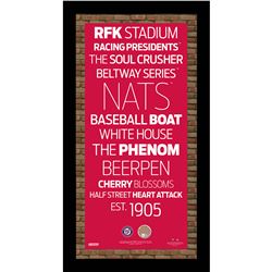 Washington Nationals Subway Sign Wall Art 9.5X19 Frame W/ Authentic Dirt From Nationals Park