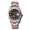 Rolex  Datejust 36 Steel  Everose Gold  Men Watch