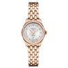 Image 1 : Hamilton  Jazzmaster Lady Auto  Women Watch