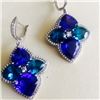 Image 1 : Blue Engel