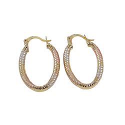 Tri Color Oval Hoop Earing Brass-1.1