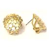 Image 1 : GD-CZ Clip/Post Earrings