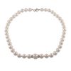 Image 2 : 2 Rondell Shell Pearl