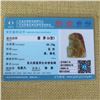 Image 8 : Natural Jadeite Pendant - Magpie & Plum Flower w Certificate