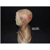 Image 2 : DEAD ROTTEN ZOMBIE WITCH MALE MAKE UP COWL ON FULL BUST 07