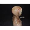 Image 3 : DEAD ROTTEN ZOMBIE WITCH MALE MAKE UP COWL ON FULL BUST 07