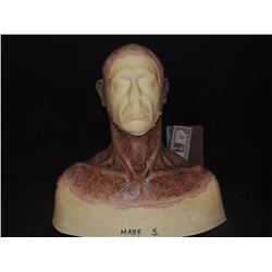 DEAD ROTTEN ZOMBIE WITCH MALE MAKE UP COWL ON FULL BUST 08