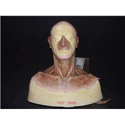 DEAD ROTTEN ZOMBIE WITCH MALE MAKE UP COWL ON FULL BUST 11