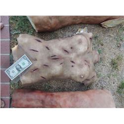 ZOMBIE AUTOPSY DEAD BLOODY ROTTEN ZOMBIE BODY 01