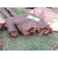 ZOMBIE AUTOPSY DEAD BLOODY ROTTEN ZOMBIE BODY 02