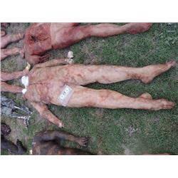 ZOMBIE AUTOPSY DEAD BLOODY ROTTEN ZOMBIE BODY 13