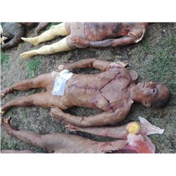 ZOMBIE AUTOPSY DEAD BLOODY ROTTEN ZOMBIE BODY 15