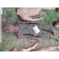 ZOMBIE AUTOPSY DEAD BLOODY ROTTEN ZOMBIE BODY 23