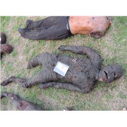 ZOMBIE AUTOPSY DEAD BLOODY ROTTEN ZOMBIE BODY 24