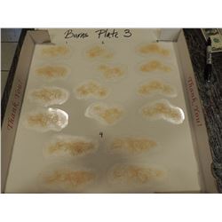 ZOMBIE SCAR BURN CUT BOIL SLICE SILICONE TRANSFER LOT 15