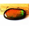 Image 1 : 19MM X 11MM AMMOLITE GEMSTONE