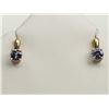 Image 1 : #26-10K YELLOW GOLD TANZANITE EARRINGS