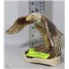 Image 1 : HAND CARVED  EAGLE MADE OUT OF MOOSE ANTLER