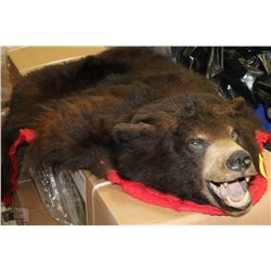 ALBERTA BLACK BEAR RUG FROM 1980'S