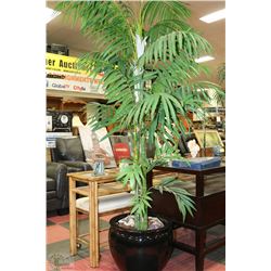 LARGE SHOWHOME FLOOR PLANT ON CHOICE