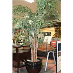 LARGE SHOWHOME FLOOR PLANT ON CHOICE